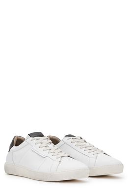 AllSaints Sheer Low Top Sneaker in White