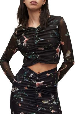 AllSaints Tessia Fabia Floral Ruched Crop Top in Black/Pink