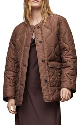 AllSaints Women's Foxi Liner Jacket in Chocolate