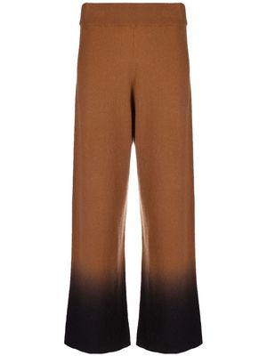Allude ombré knit trousers - Brown