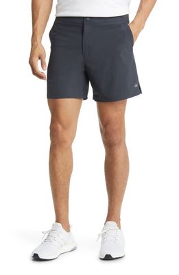 Alo Performance Shorts in Anthracite