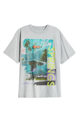 ALPHA COLLECTIVE Palm Springs Cotton Graphic T-Shirt in Vintage Grey