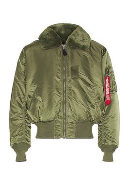 ALPHA INDUSTRIES B-15 Bomber in Olive