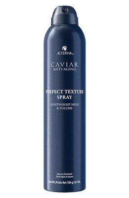 ALTERNA® Perfect Texture Spray 