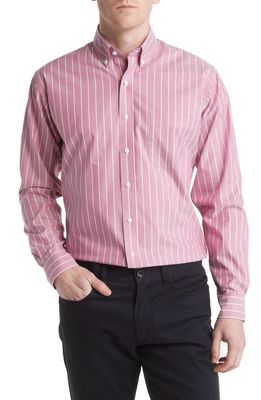 Alton Lane Howard Supima Cotton Blend Oxford Button-Down Shirt in Wine Big Sky Stripe