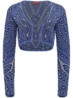 Altuzarra long sleeves ribbed-knit jumper - Blue