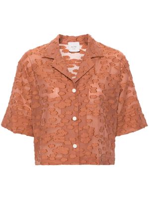 Alysi embroidered camp-collar organza shirt - Brown