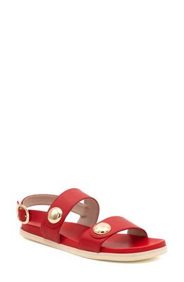 Amalfi by Rangoni Bargino Slingback Sandal in Rio Lobo Savana Gold Hardware