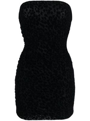 Amen leopard-print strapless tulle minidress - Black