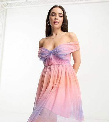 Anaya Petite bardot tulle mini dress in ombre-Multi