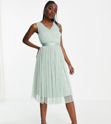 Anaya with Love Tall tulle midi dress with ribbon tie waist in misty jade-Green