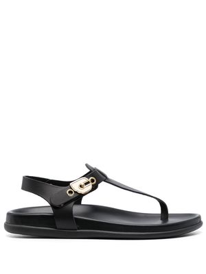 Ancient Greek Sandals buckle-fastening sandals - Black