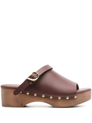 Ancient Greek Sandals buckled leather clogs - Brown