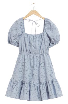 & Other Stories Puff Sleeve Organic Cotton Eyelet Dress in Light Blue Embroidery