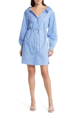 & Other Stories Stripe Long Sleeve Organic Cotton Shirtdress in Blue/White Stipe