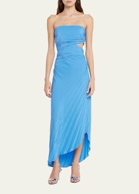 Andie Pleated Strapless Maxi Dress