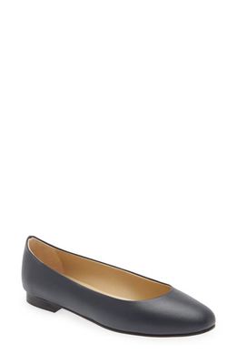 andrea carrano Leather Ballet Flat in Navy Leather