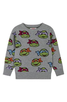 Andy & Evan x Teenage Mutant Ninja Turtles Jacquard Sweater in Grey Turtles