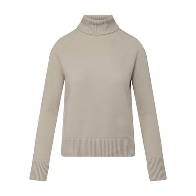 Anima turtleneck sweater