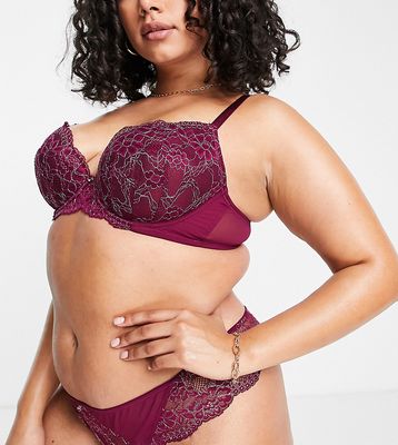 Ann Summers Curve Sexy Lace Planet nylon blend lace plunge bra in burgundy - BURGUNDY-Red
