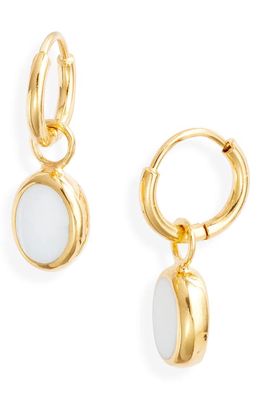 Anna Beck White Agate Drop Huggie Hoop Earrings in Gold/White Agate