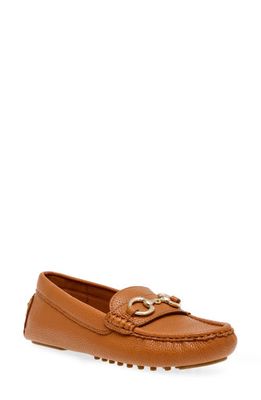 Anne Klein Celeste Driving Shoe in Cognac