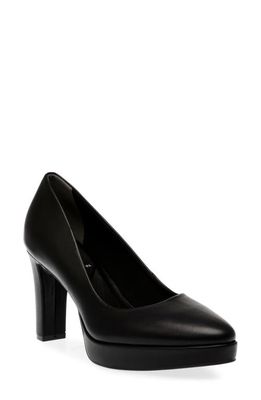 Anne Klein Jael Platform Pump in Black Ms