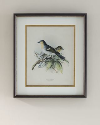 "Antique Birds III" Print