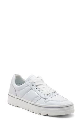 ara Carmel Platform Sneaker in White Leather