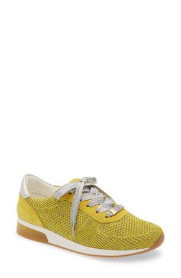 ara Leigh Lace-Up Sneaker in Yellow Fabric