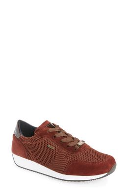 ara Lila Gore-Tex Waterproof Sneaker in Marron Fabric