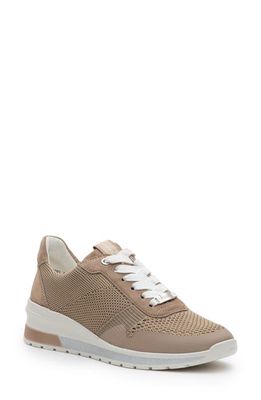 ara Nassau Wedge Sneaker in Sand Wovenstretch