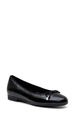 ara Scout Flat in Black Crinkle Patent Leather