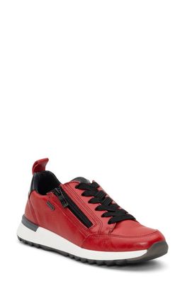 ara Victoria Gore-Tex Waterproof Sneaker in Red