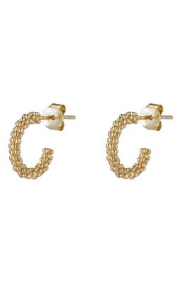 Argento Vivo Sterling Silver Bead Texture Hoop Earrings in Gold