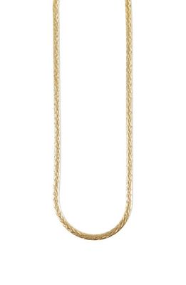 Argento Vivo Sterling Silver Diamond Cut Chain Necklace in Gold