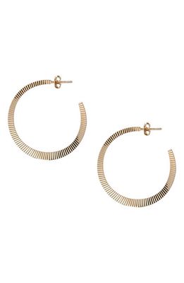 Argento Vivo Sterling Silver Diamond Cut Hoop Earrings in Gold