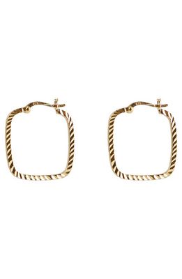 Argento Vivo Sterling Silver Diamond Cut Square Hoop Earrings in Gold