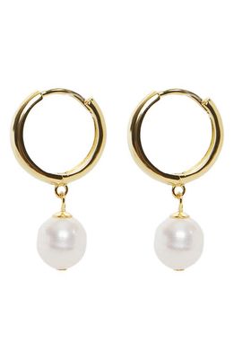 Argento Vivo Sterling Silver Freshwater Pearl Drop Huggie Hoop Earrings in Gold