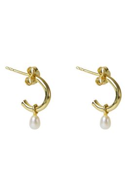 Argento Vivo Sterling Silver Freshwater Pearl Hoop Earrings in Gold