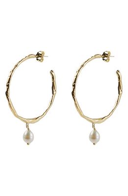 Argento Vivo Sterling Silver Freshwater Pearl Molten Hoop Drop Earrings in Gold