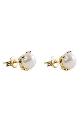 Argento Vivo Sterling Silver Freshwater Pearl Stud Earrings in Gold