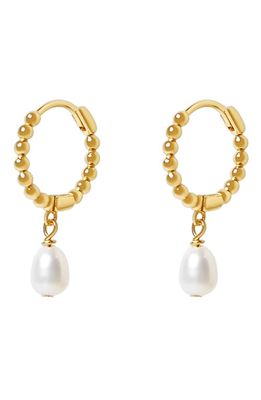 Argento Vivo Sterling Silver Imitation Pearl Drop Huggie Hoop Earrings in Gold