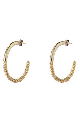 Argento Vivo Sterling Silver Large Dual Texture Hoop Earrings in Gold