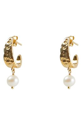Argento Vivo Sterling Silver Molten Freshwater Pearl Drop Hoop Earrings in Gold