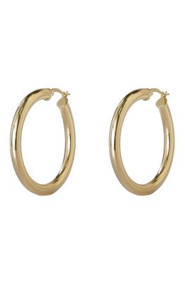 Argento Vivo Sterling Silver Tubular Hoop Earrings in Gold