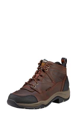 Ariat Terrain H2O Copper Waterproof Hiking Boot in Dark Brown