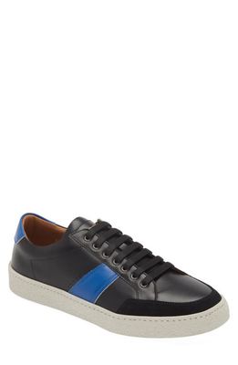 ARMANDO CABRAL Talico Sneaker in Noir/Blue