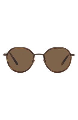 Armani Exchange 49mm Small Phantos Sunglasses in Bronze