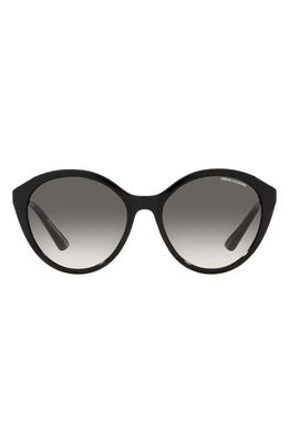Armani Exchange 55mm Gradient Cat Eye Sunglasses in Shiny Black